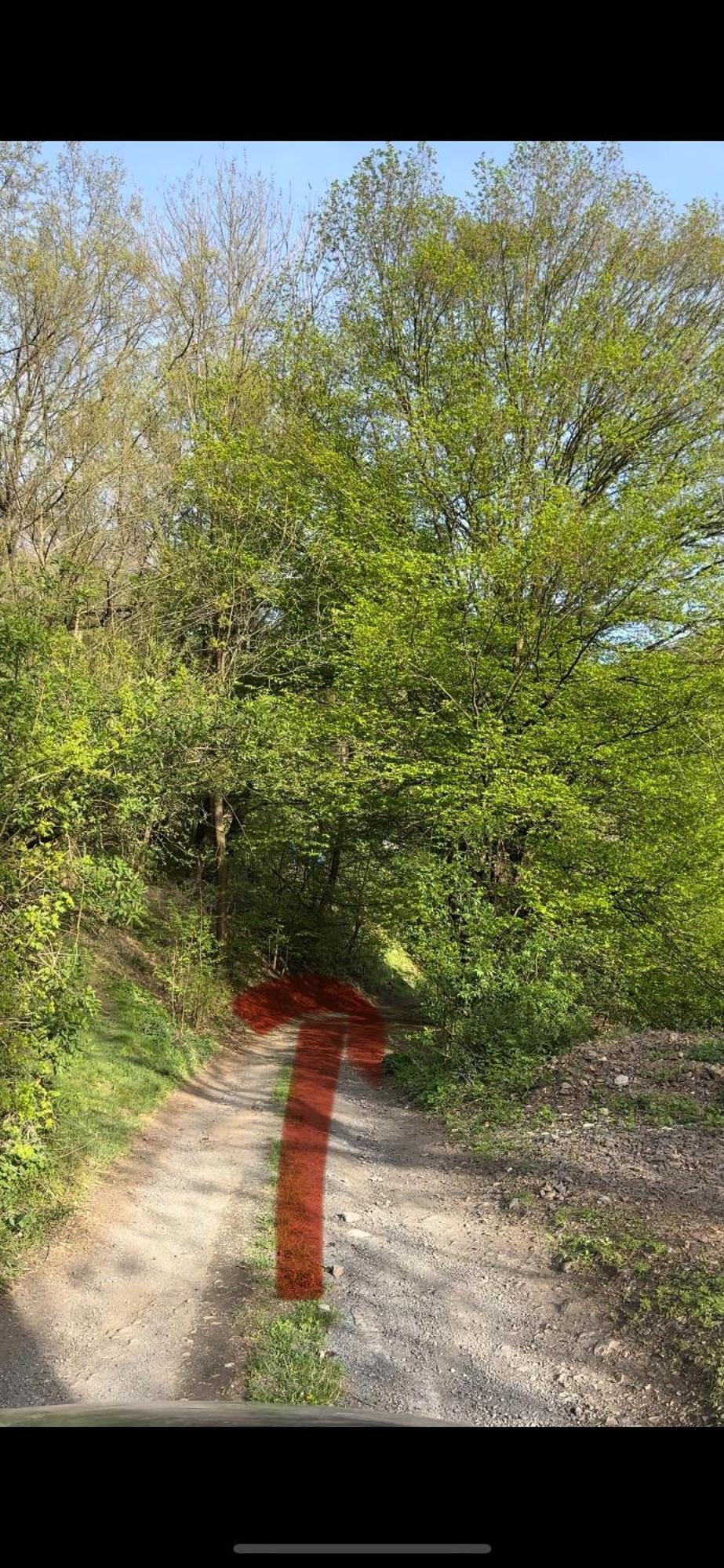 Chata Marketka Křivoklát المظهر الخارجي الصورة